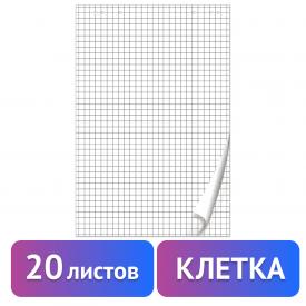 Блокнот для флипчарта ПЛОТНЫЙ 80 г/м2, 67,5 х 98 см, 20 листов, белый (КЛЕТКА), BRAUBERG (128645)