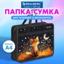 Папка на молнии с ручками А4, 1 отделение, пластик, 80 мм, 
